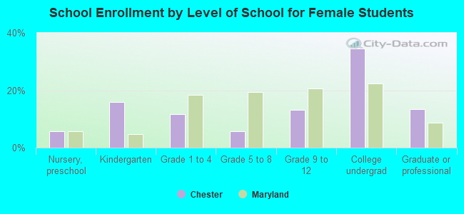 School Enrollment by Level of School for Female Students