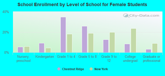 School Enrollment by Level of School for Female Students