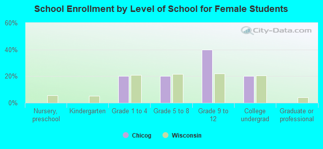 School Enrollment by Level of School for Female Students