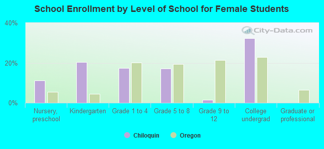 School Enrollment by Level of School for Female Students