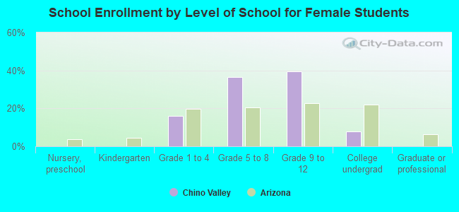 School Enrollment by Level of School for Female Students