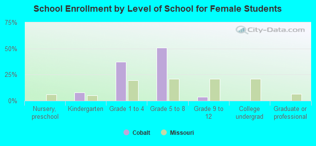 School Enrollment by Level of School for Female Students