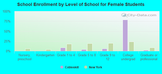 School Enrollment by Level of School for Female Students