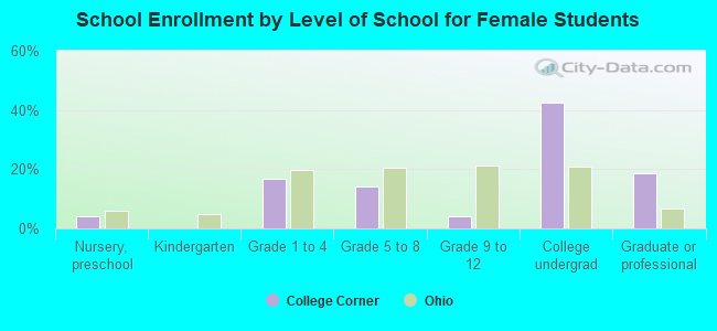 School Enrollment by Level of School for Female Students