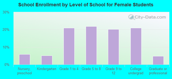 School Enrollment by Level of School for Female Students