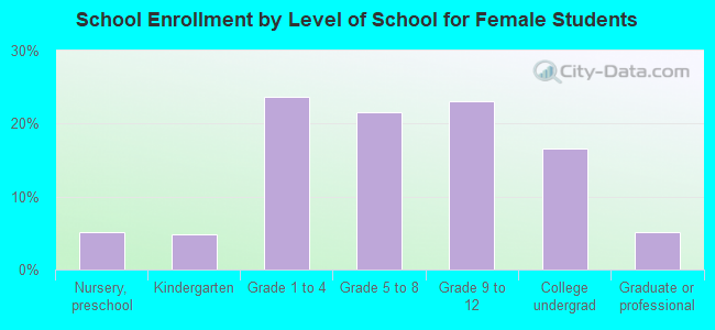 School Enrollment by Level of School for Female Students