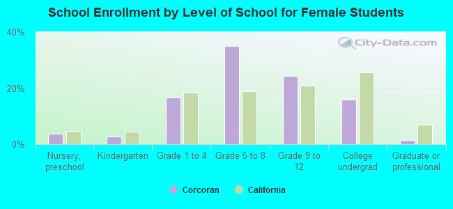 School Enrollment by Level of School for Female Students