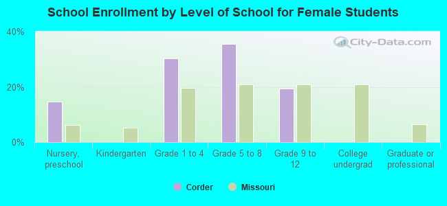 School Enrollment by Level of School for Female Students