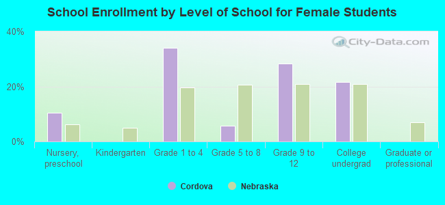 School Enrollment by Level of School for Female Students