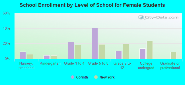 School Enrollment by Level of School for Female Students