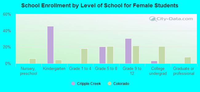 School Enrollment by Level of School for Female Students