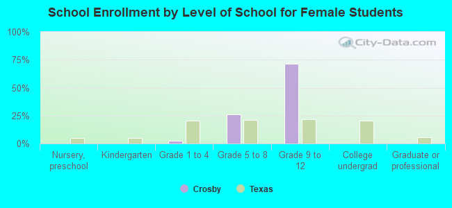 School Enrollment by Level of School for Female Students