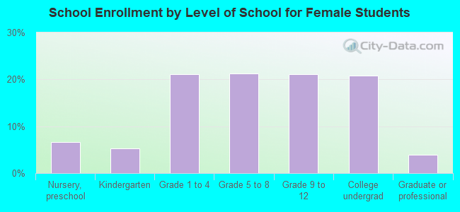 School Enrollment by Level of School for Female Students