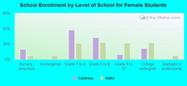 School Enrollment by Level of School for Female Students