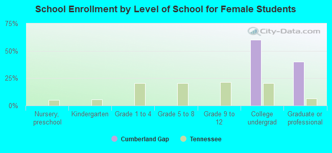 School Enrollment by Level of School for Female Students