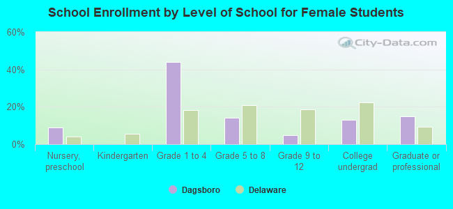 School Enrollment by Level of School for Female Students