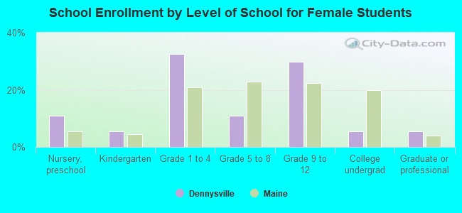 School Enrollment by Level of School for Female Students