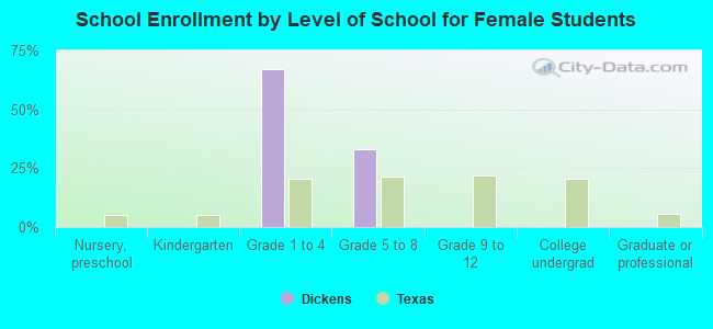 School Enrollment by Level of School for Female Students