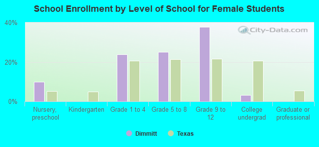 School Enrollment by Level of School for Female Students