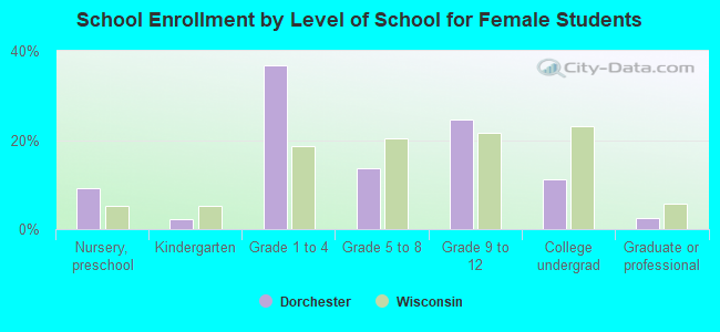 School Enrollment by Level of School for Female Students