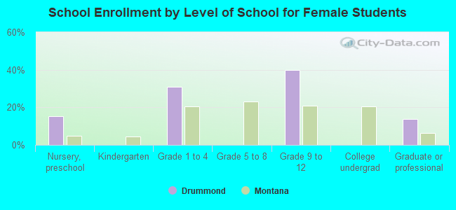 School Enrollment by Level of School for Female Students