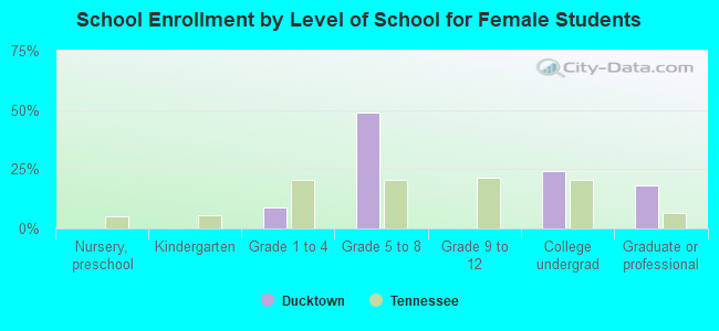 School Enrollment by Level of School for Female Students