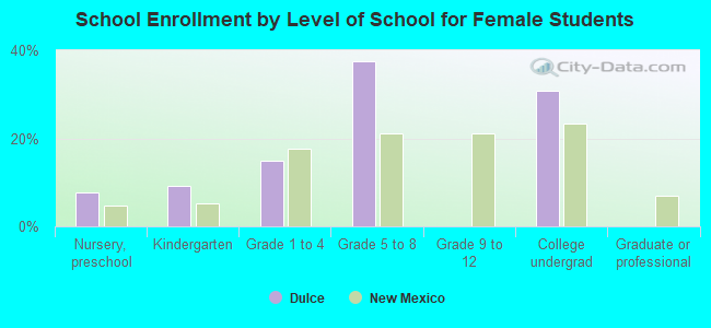 School Enrollment by Level of School for Female Students