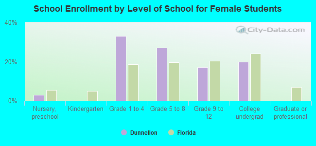 School Enrollment by Level of School for Female Students