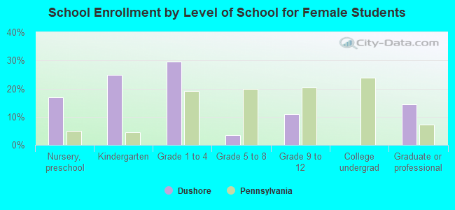 School Enrollment by Level of School for Female Students