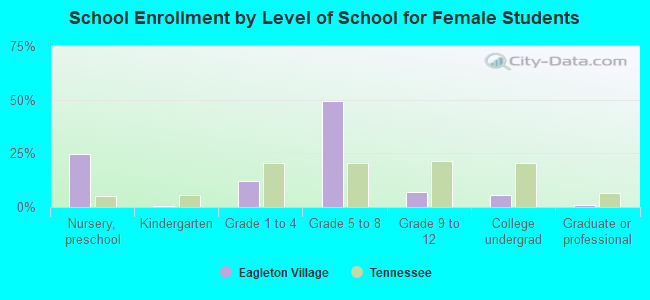 School Enrollment by Level of School for Female Students