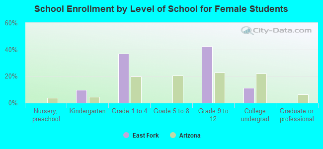 School Enrollment by Level of School for Female Students