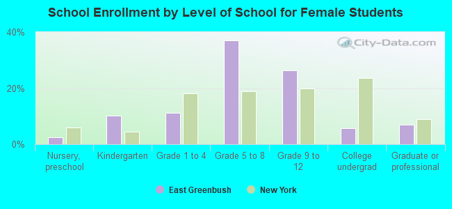 School Enrollment by Level of School for Female Students