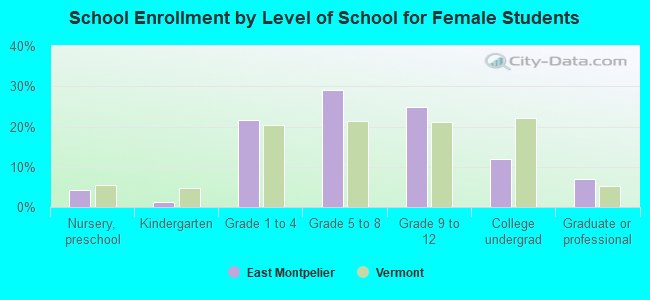 School Enrollment by Level of School for Female Students