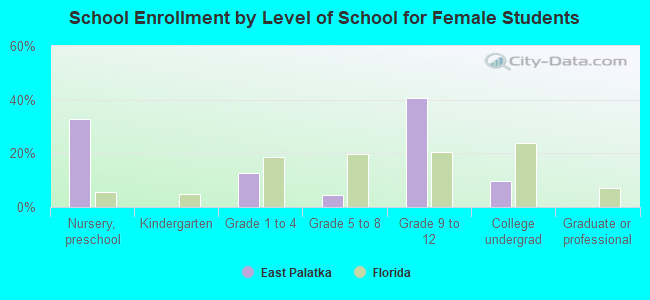 School Enrollment by Level of School for Female Students