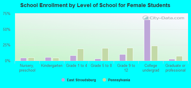 School Enrollment by Level of School for Female Students