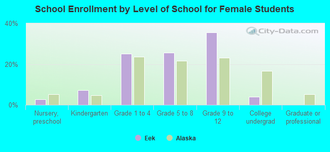 School Enrollment by Level of School for Female Students