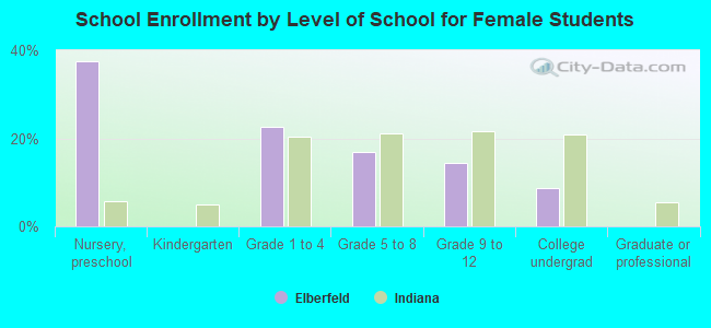 School Enrollment by Level of School for Female Students