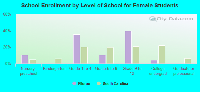 School Enrollment by Level of School for Female Students