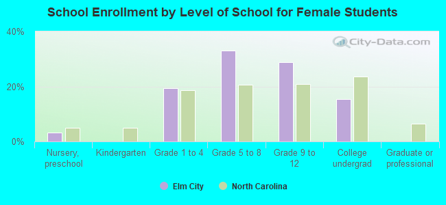 School Enrollment by Level of School for Female Students