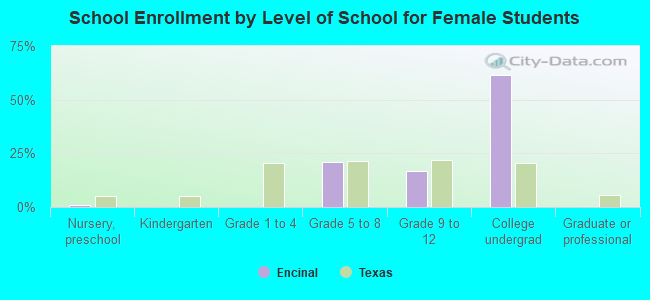 School Enrollment by Level of School for Female Students