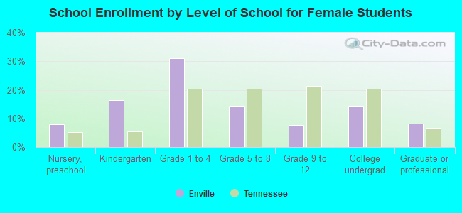 School Enrollment by Level of School for Female Students