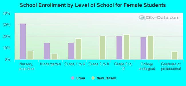 School Enrollment by Level of School for Female Students