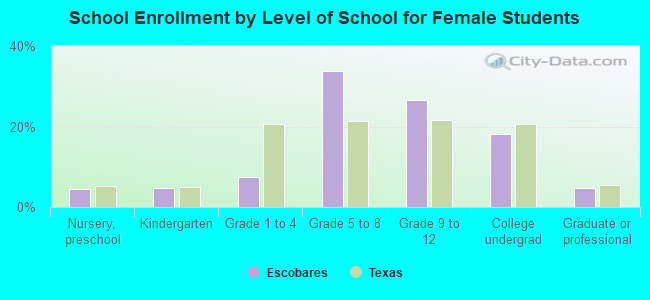 School Enrollment by Level of School for Female Students