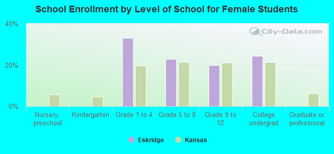 School Enrollment by Level of School for Female Students