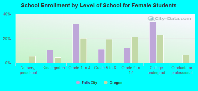 School Enrollment by Level of School for Female Students