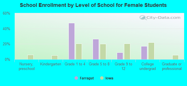 School Enrollment by Level of School for Female Students