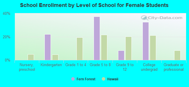 School Enrollment by Level of School for Female Students