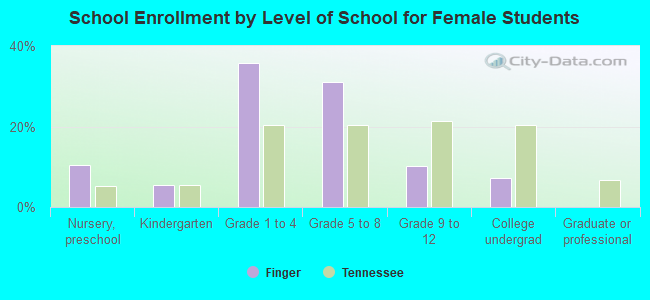 School Enrollment by Level of School for Female Students