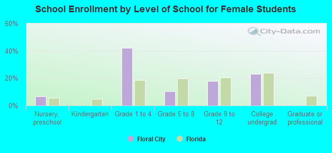 School Enrollment by Level of School for Female Students