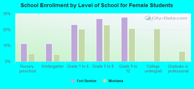 School Enrollment by Level of School for Female Students